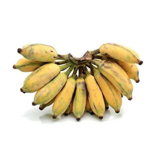 Banana Hill
