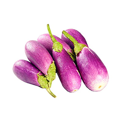 Brinjal Ujala