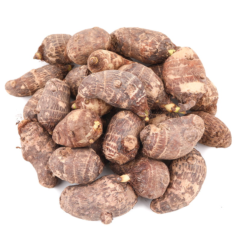 Colocasia Seppankizhangu