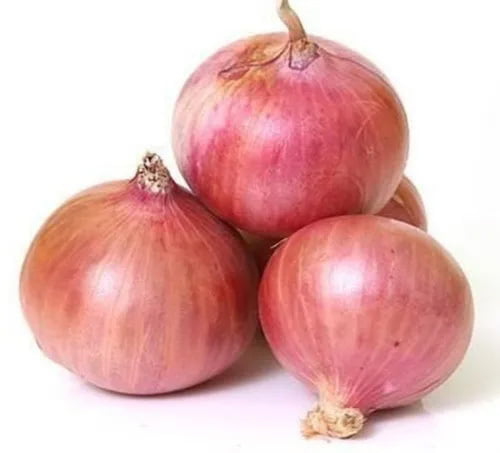 Onion