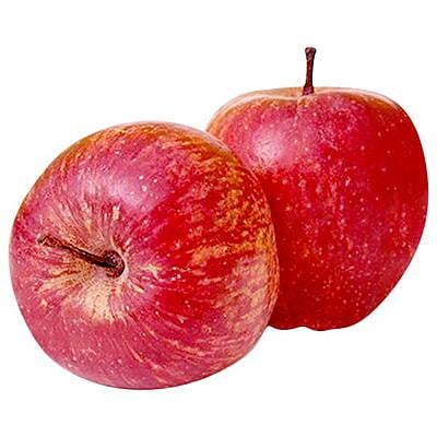 Apple Shimla