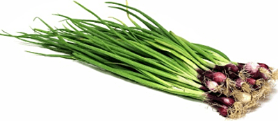 Spring Onion