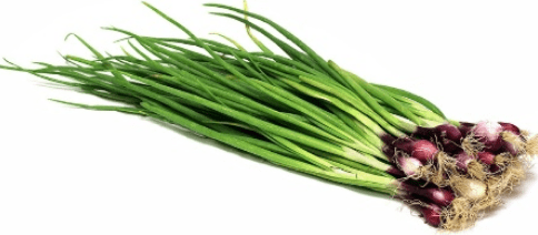Spring Onion